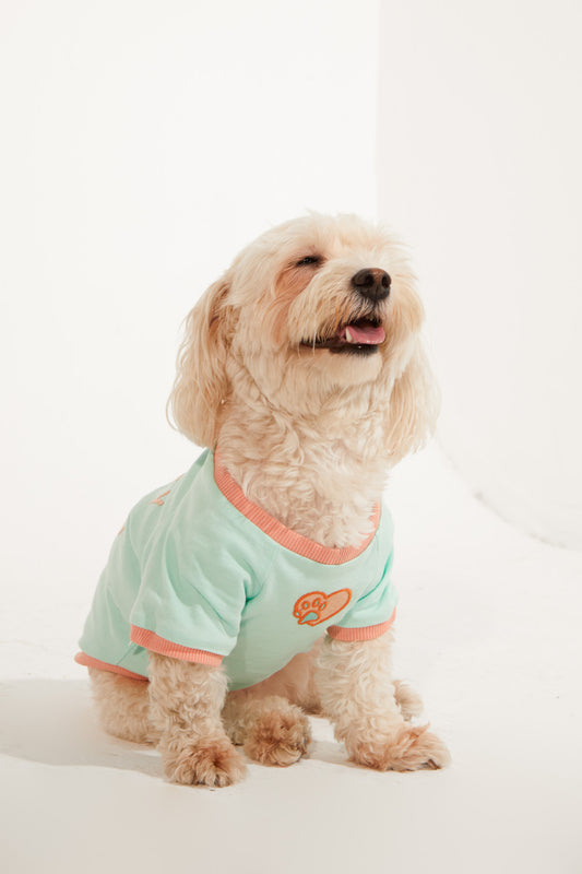 Amalfi T-Shirt - Su Yeşili