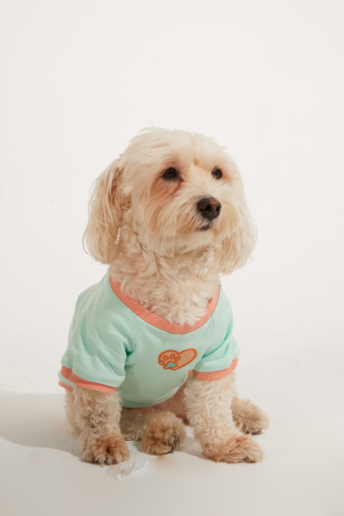 Amalfi T-Shirt - Su Yeşili